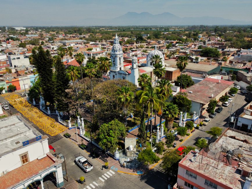 vetustamorla